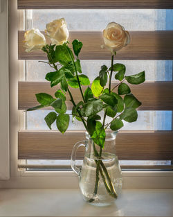 A bouquet of white roses in a glass jug stands on the windowsill of a window covered