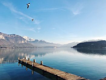 Birds flying over lake against sky