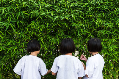 Rear view of friends standing by plants at park