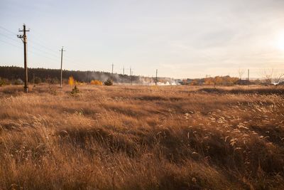 field