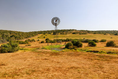 environment