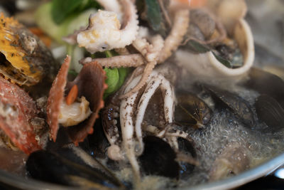 Close-up of food