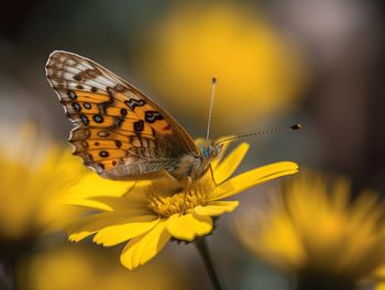 beauty in nature