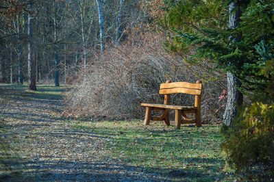 Empty bench in forest
