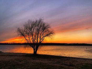 Silhouette bare tree by sea against romantic sky at sunset