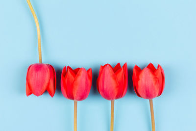 Close-up of heart shape over white background