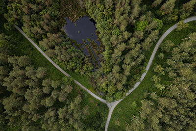 High angle view of road