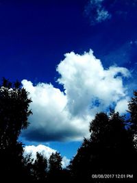 Low angle view of silhouette trees against blue sky