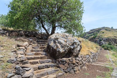 Stone wall by trees against sky