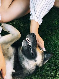 Midsection of woman with dog on field