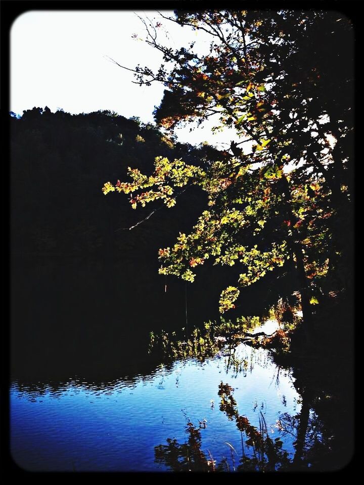 tree, transfer print, water, tranquil scene, tranquility, beauty in nature, lake, auto post production filter, scenics, silhouette, nature, growth, reflection, sky, clear sky, branch, sunset, river, idyllic, dusk