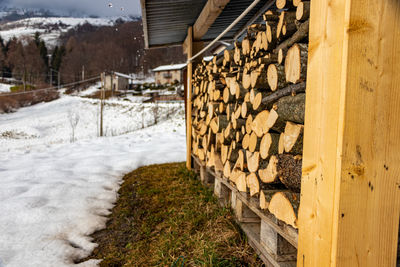 Wood in the snow