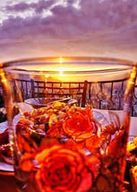 Close-up of flowers against sky during sunset