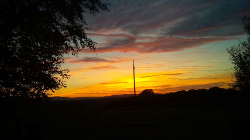 Silhouette trees against sky during sunset