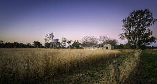 Scenic view of agricultural field against clear sky