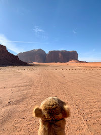 Scenic view of desert against sky