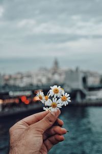 Midsection of person holding flowering plant against sky