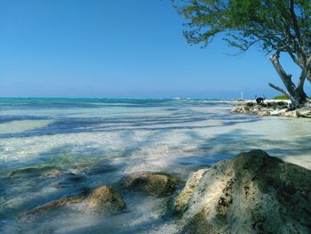 Scenic view of sea against clear sky