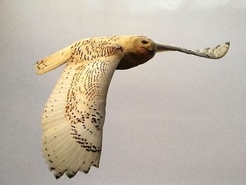 Close-up of bird flying