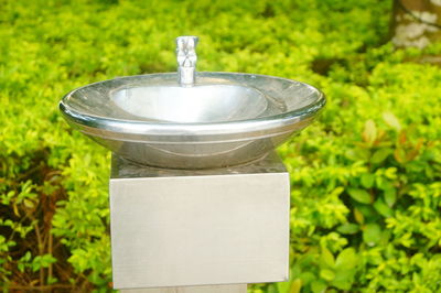 Close-up of water drop on stone in garden