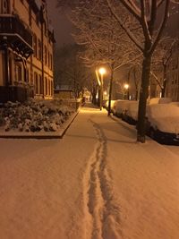 Empty illuminated street lights at night