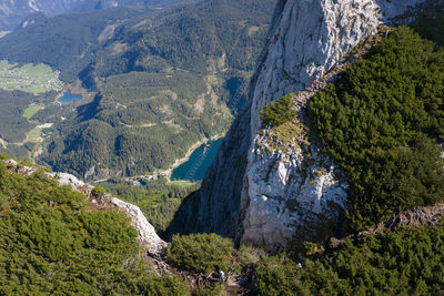 High angle view of trees on land