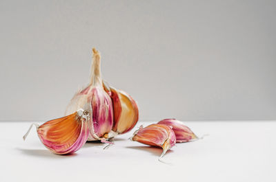 garlic