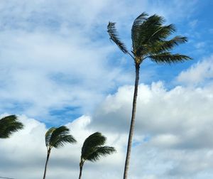 Beautiful afternoon with refreshing winds.