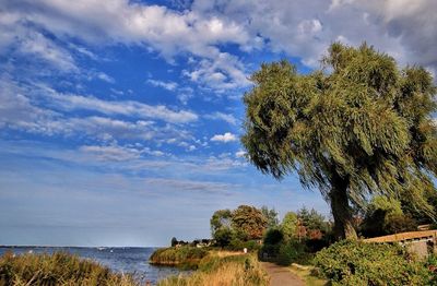 Scenic view of landscape against cloudy sky