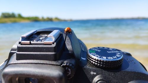 Ladybug sitting on the camera