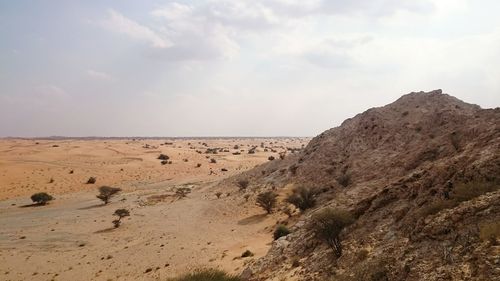 Scenic view of landscape against sky