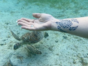 Cropped image of hand against sea