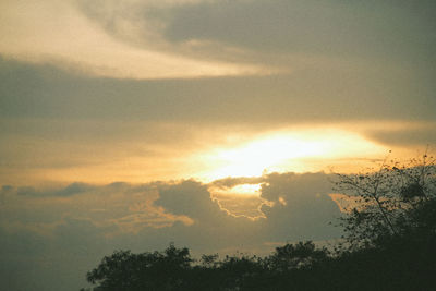 Low angle view of silhouette trees against sky during sunset