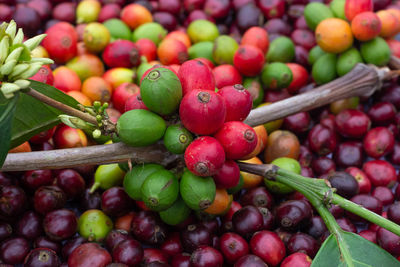 Close-up of strawberries