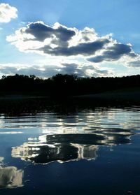 Reflection of trees in water