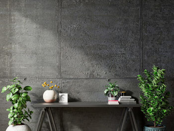 Potted plants on wall