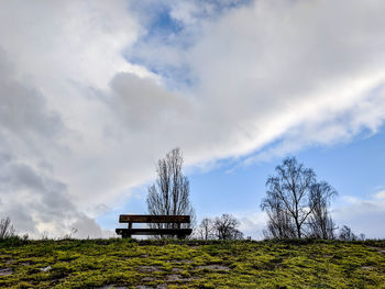 Park bench and trees against sky