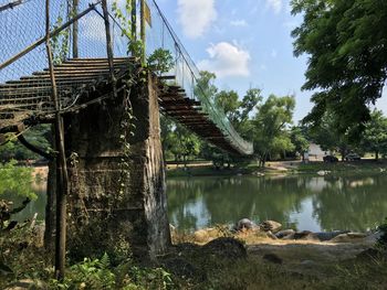 Reflection of trees in water