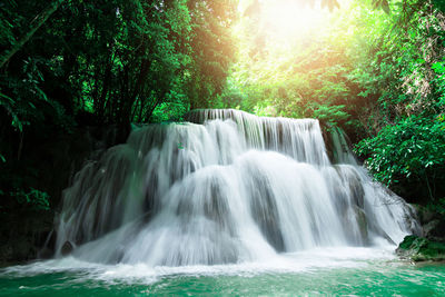 Scenic view of waterfall in forest