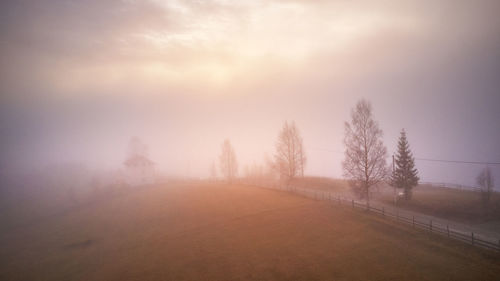 Trees on landscape against sky in foggy weather