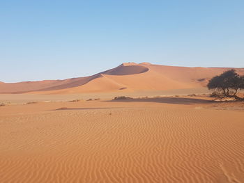 Sand dunes in a desert