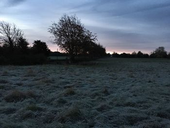 Silhouette trees on landscape against sky at sunset