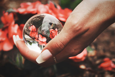 Close-up of hand holding lens ball