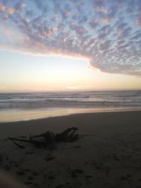 Scenic view of beach against sky during sunset