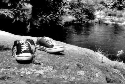 Close-up of shoes on tree