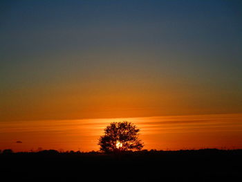 Silhouette trees on field against romantic sky at sunset