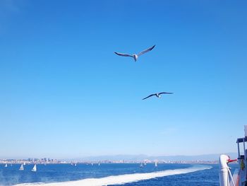 Low angle view of seagulls flying over sea against sky