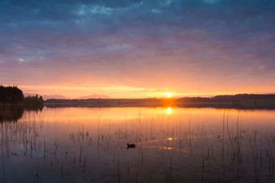 Scenic view of lake against sky during sunset