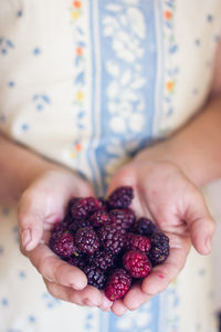 Midsection of woman holding red berries