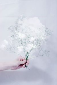 Close-up of cropped hand